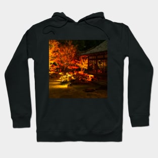 Photography - Japanse fall at night Hoodie